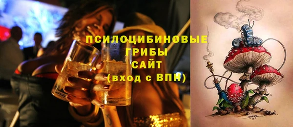 дурь Алексин